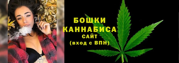 соль ск Дегтярск