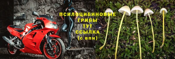 спиды Беломорск