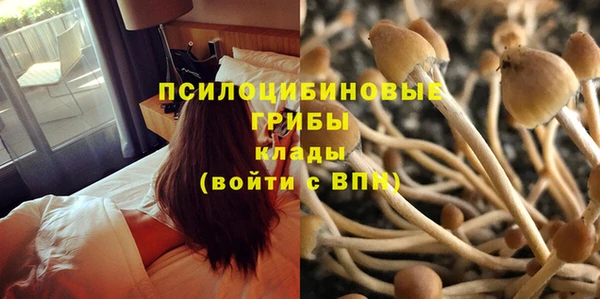 гашишное масло Белокуриха